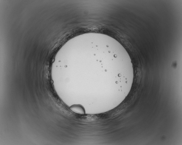 X0000116260612200912291458