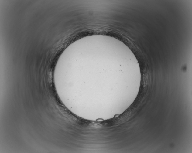 X0000116260613200912291458