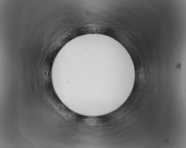 X0000116260615200912291458