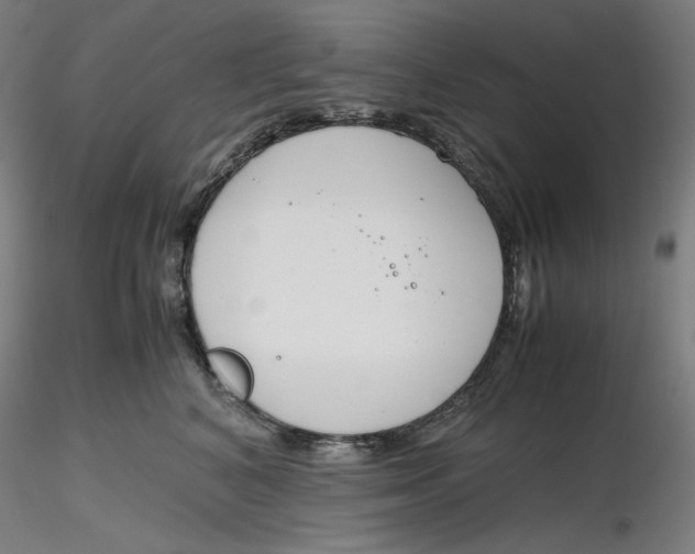 X0000116260616200912291458