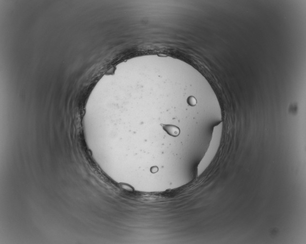 X0000116260617200912291458