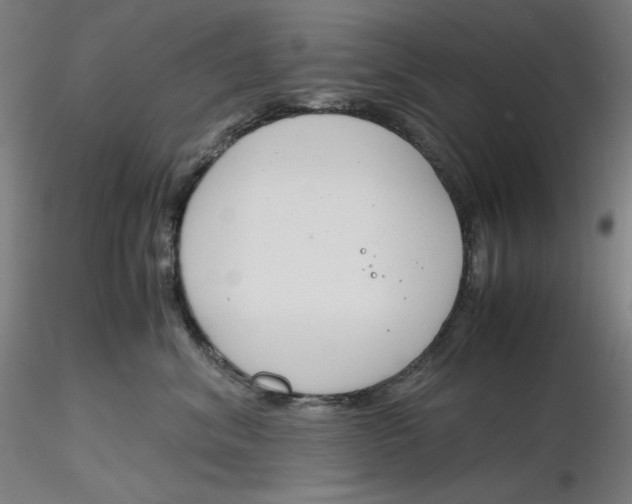 X0000116260620200912291458