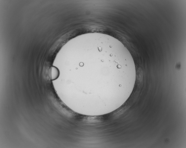 X0000116260622200912291458