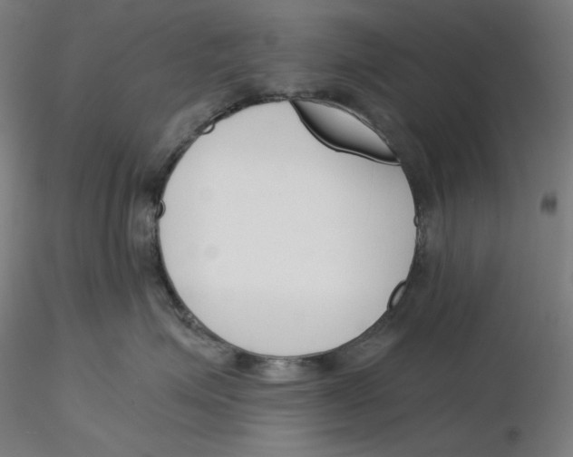 X0000116260623200912291458