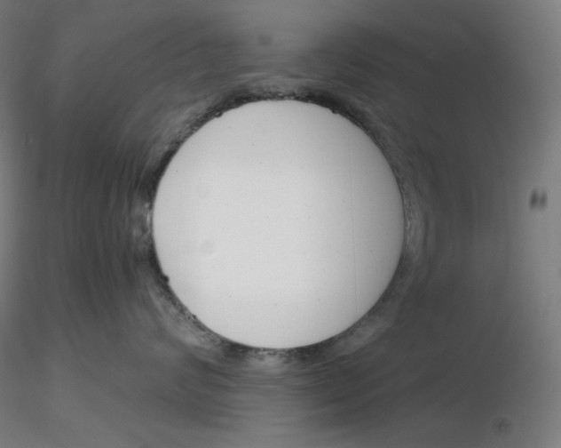 X0000116260624200912291458
