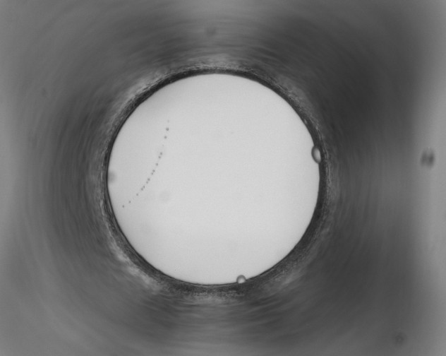 X0000116260625200912291457