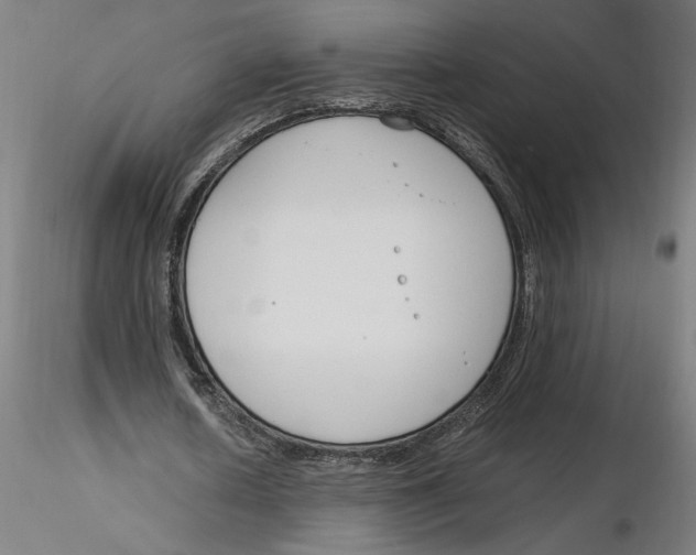 X0000116260626200912291457