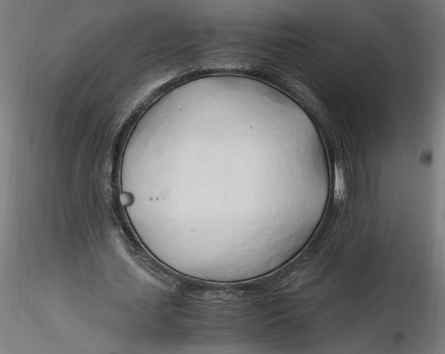 X0000116260627200912291457