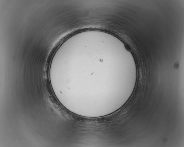 X0000116260628200912291457