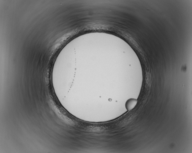 X0000116260629200912291457