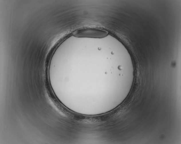 X0000116260630200912291457
