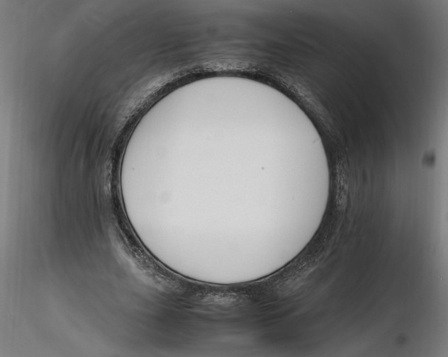 X0000116260631200912291457