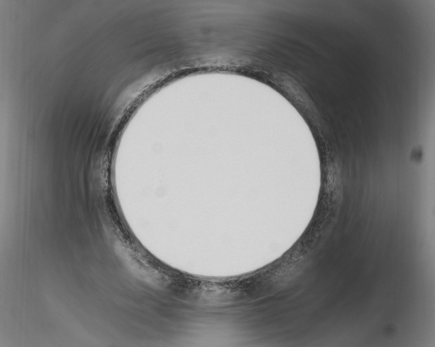 X0000116260632200912291457