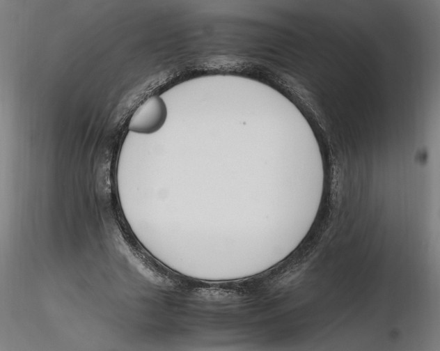 X0000116260633200912291457