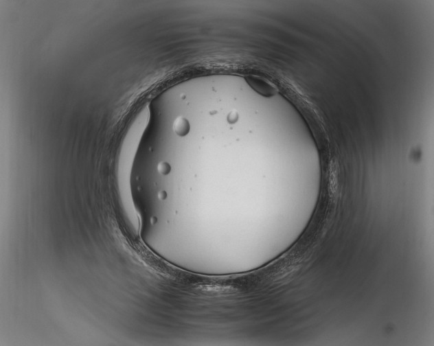X0000116260637200912291457