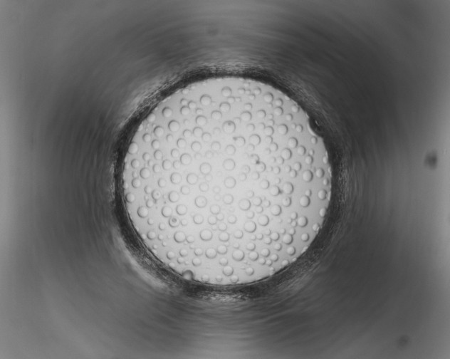 X0000116260638200912291457