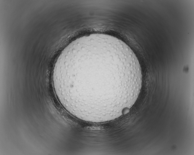 X0000116260639200912291457