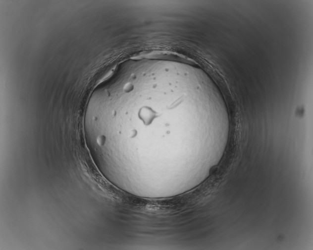 X0000116260641200912291457