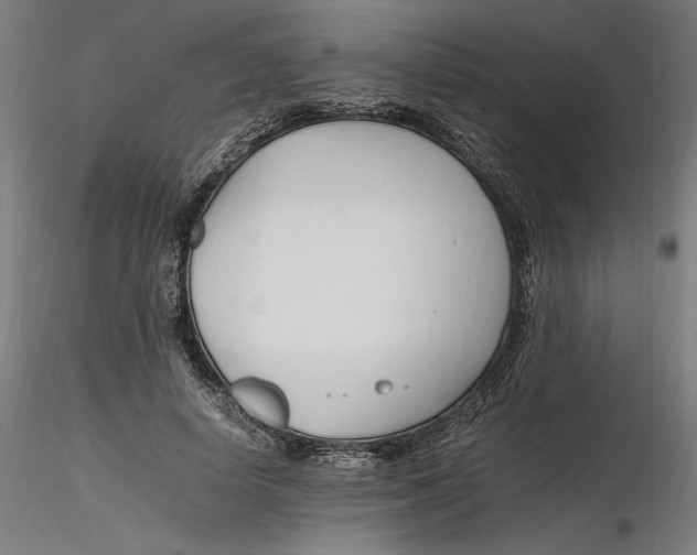 X0000116260642200912291457