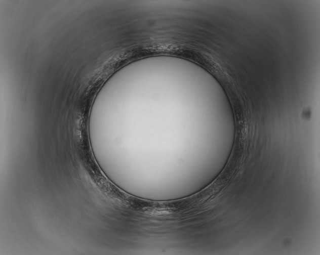 X0000116260643200912291457