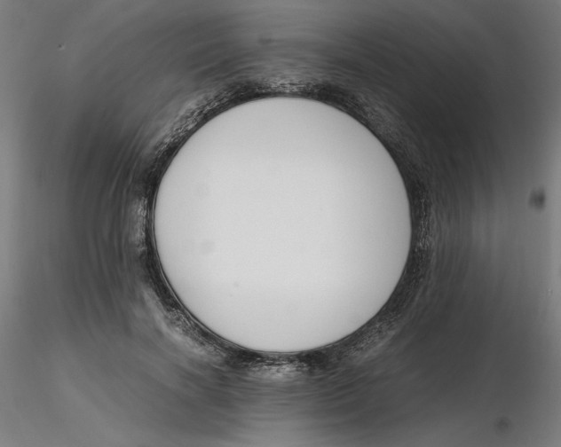 X0000116260646200912291457