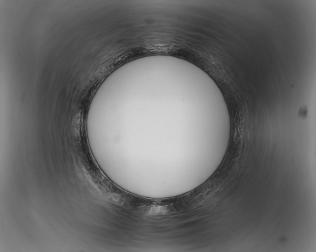 X0000116260647200912291457