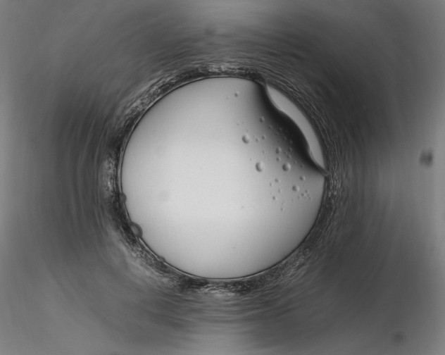 X0000116260648200912291457