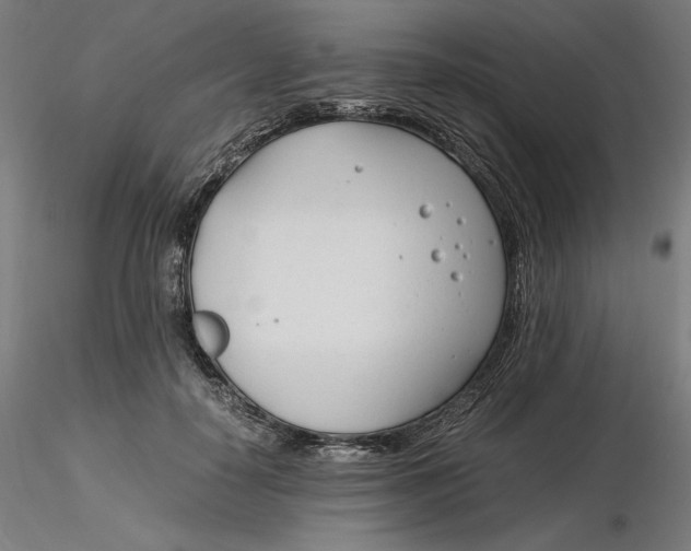 X0000116260650200912291457