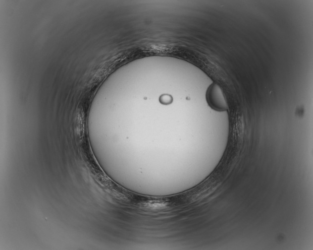 X0000116260651200912291457