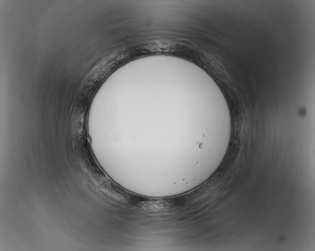 X0000116260652200912291457