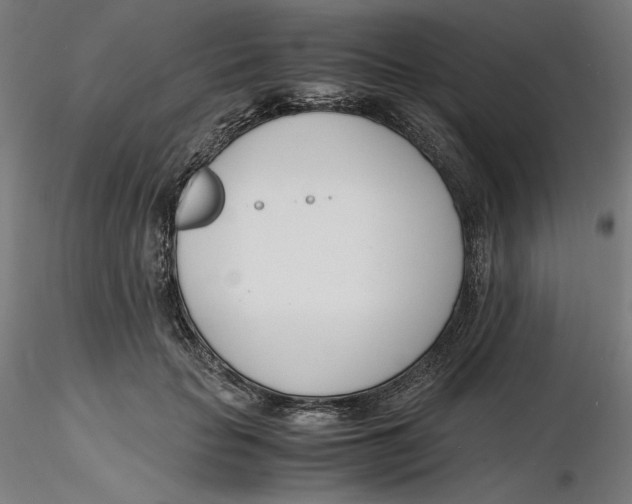 X0000116260653200912291457