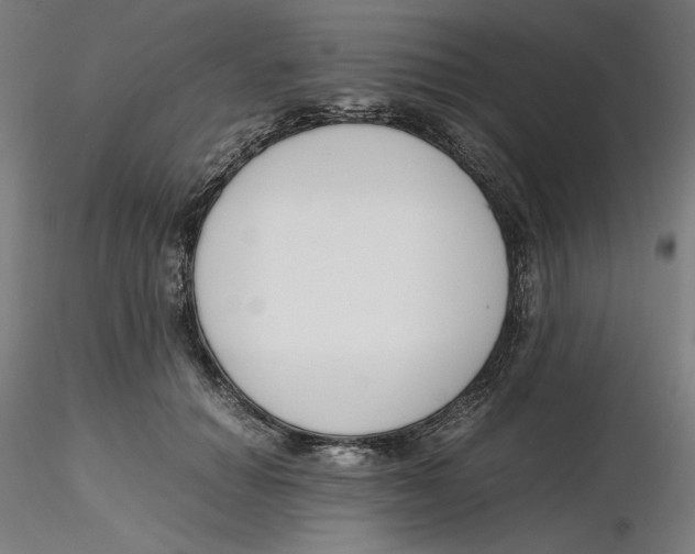 X0000116260654200912291457