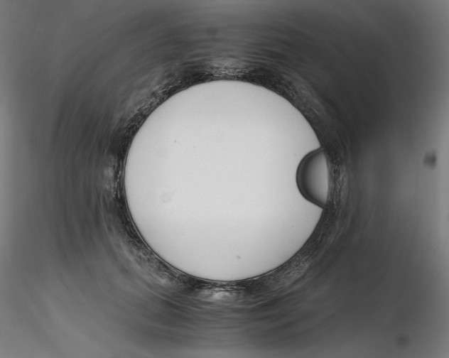 X0000116260655200912291457