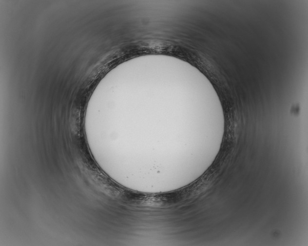 X0000116260656200912291457