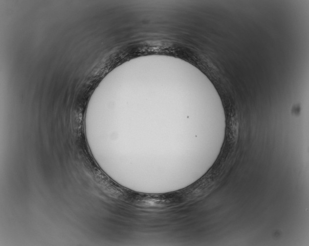 X0000116260657200912291457