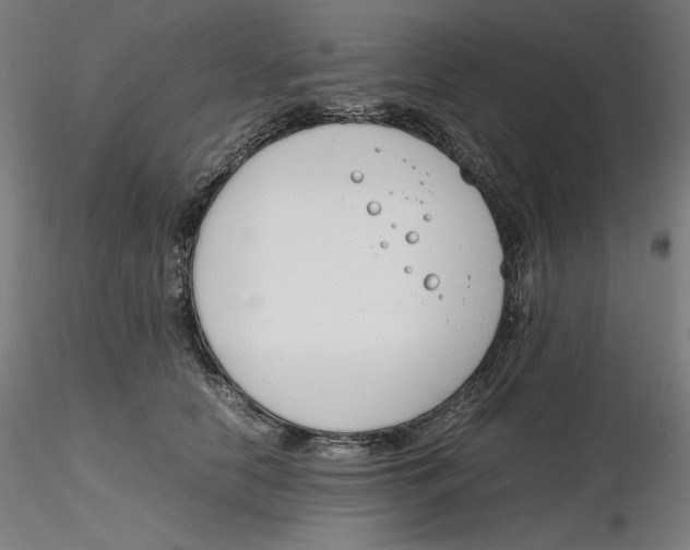 X0000116260658200912291457