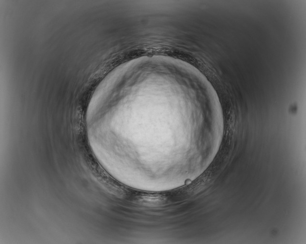 X0000116260659200912291457