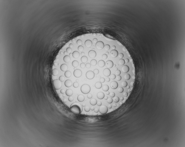 X0000116260662200912291457