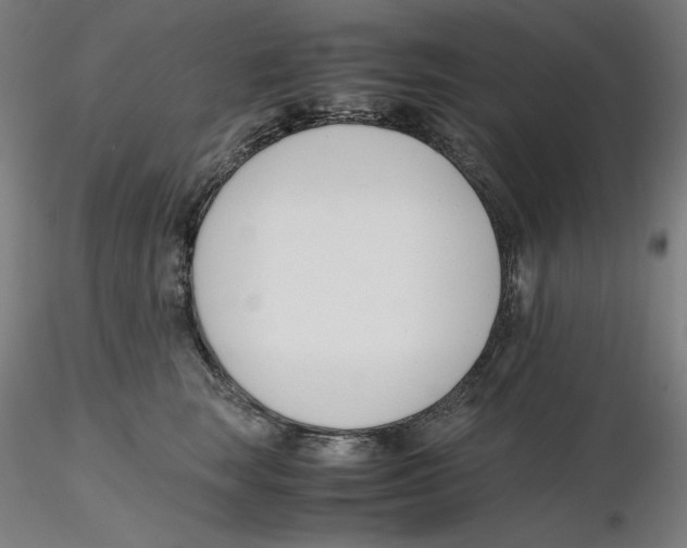 X0000116260663200912291457