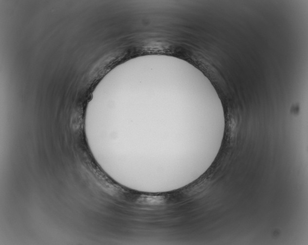 X0000116260665200912291457