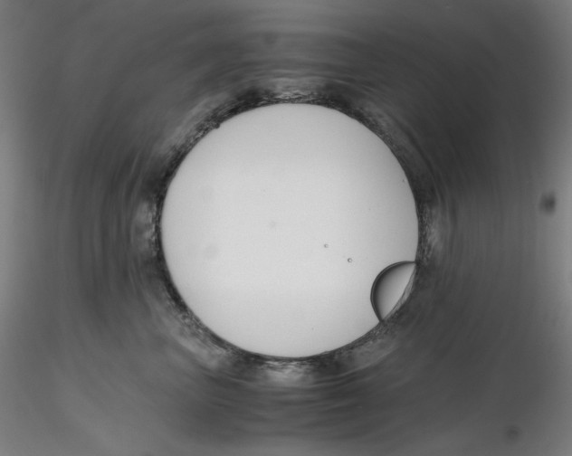 X0000116260667200912291458