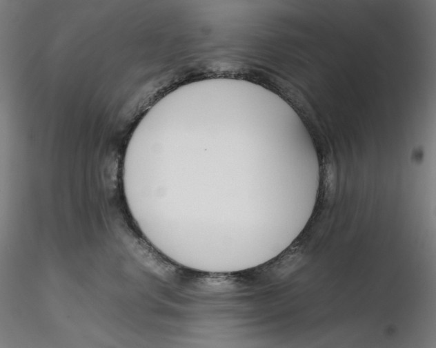 X0000116260668200912291458