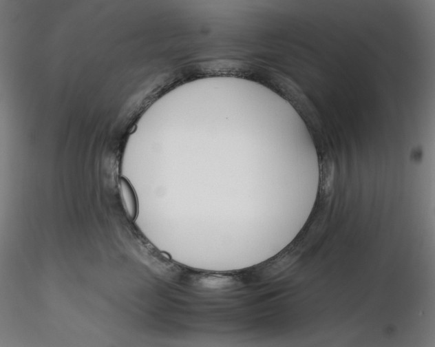 X0000116260669200912291458