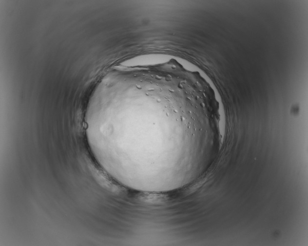 X0000116260670200912291458