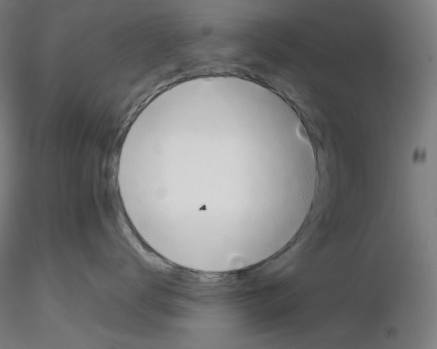 X0000116260672200912291458