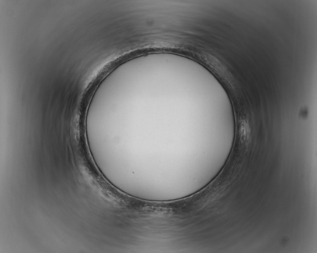 X0000116260676200912291457