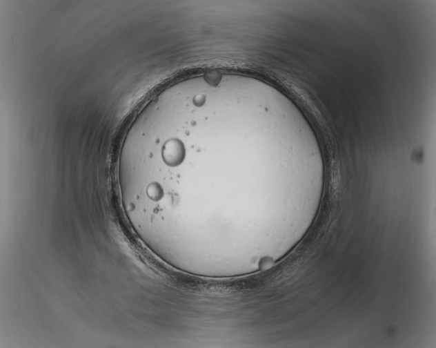 X0000116260677200912291457