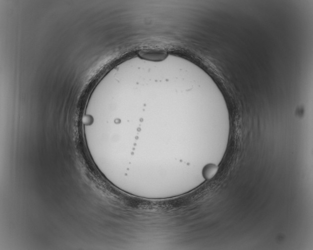 X0000116260679200912291457