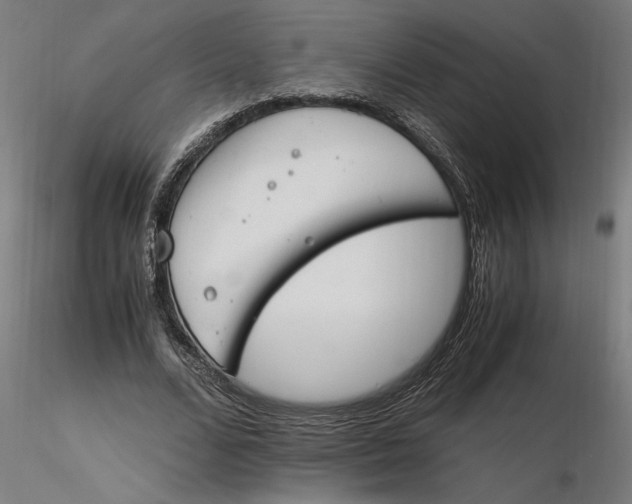 X0000116260680200912291457