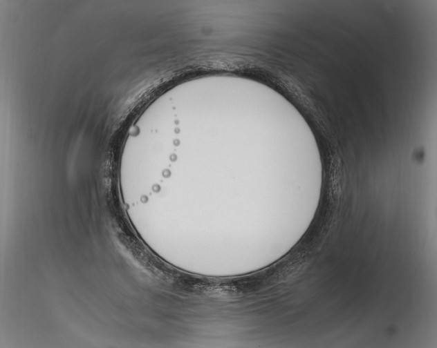 X0000116260683200912291457